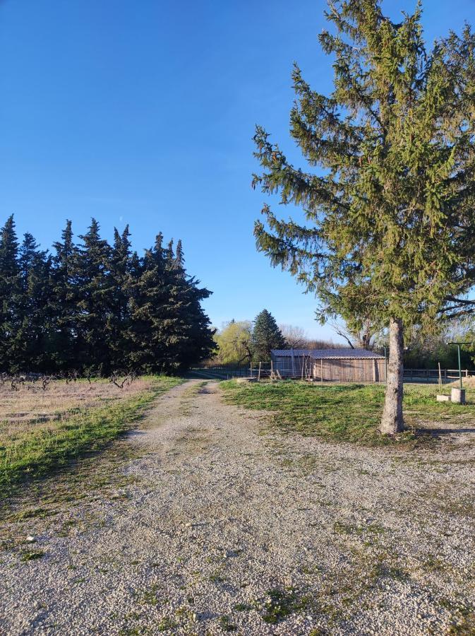 Maison A La Campagne Bouchet  エクステリア 写真